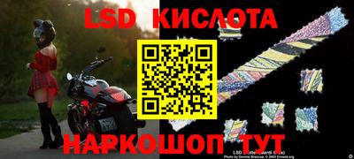 СК Краснознаменск