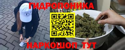 СК Краснознаменск