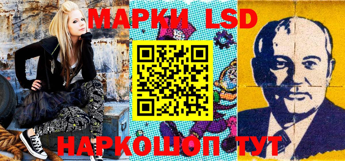 Псилоцибиновые грибы Черногорск