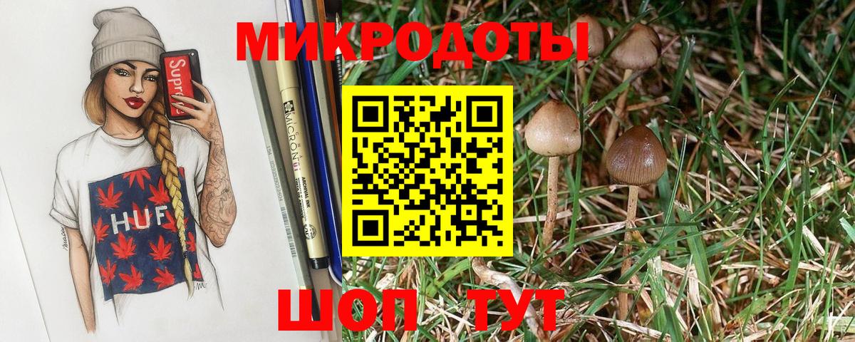 Галлюциногенные грибы Cubensis  Вход с VPN  Черногорск 