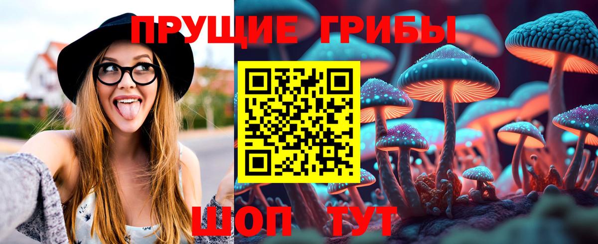 Псилоцибиновые грибы Magic Shrooms Черногорск